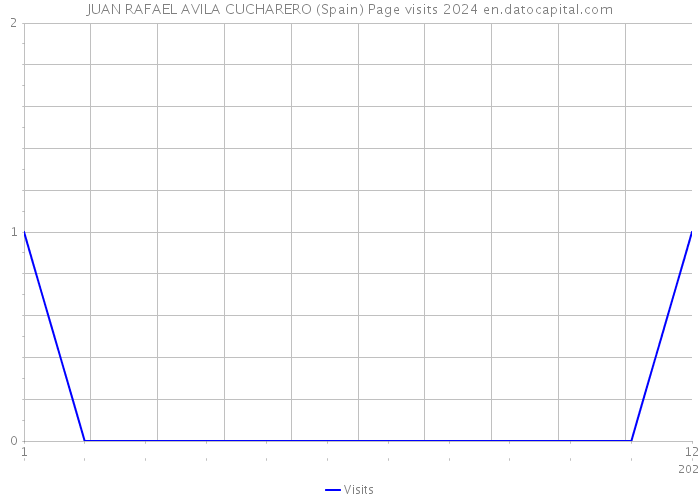 JUAN RAFAEL AVILA CUCHARERO (Spain) Page visits 2024 