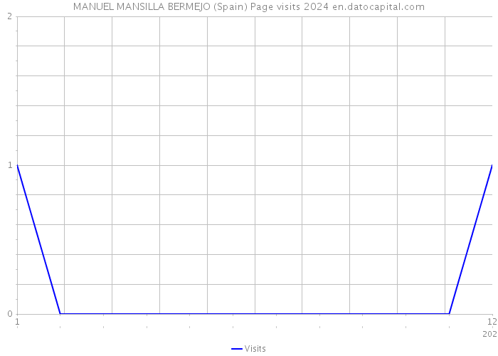 MANUEL MANSILLA BERMEJO (Spain) Page visits 2024 