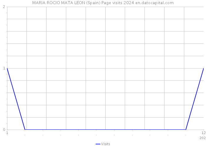 MARIA ROCIO MATA LEON (Spain) Page visits 2024 