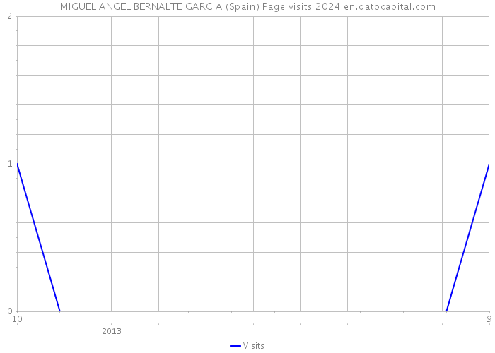 MIGUEL ANGEL BERNALTE GARCIA (Spain) Page visits 2024 