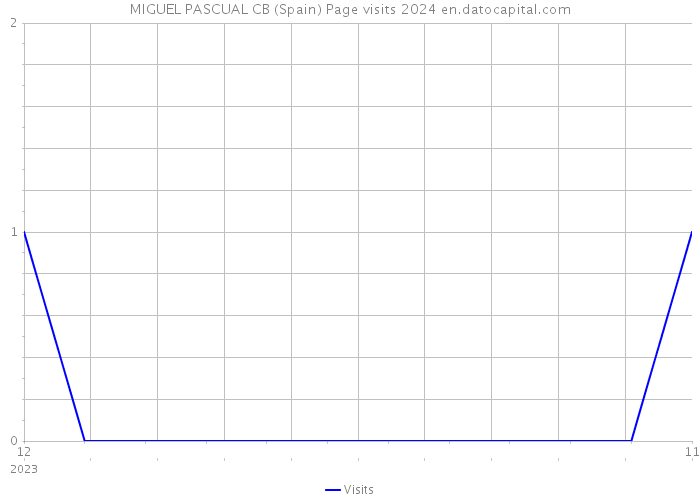 MIGUEL PASCUAL CB (Spain) Page visits 2024 