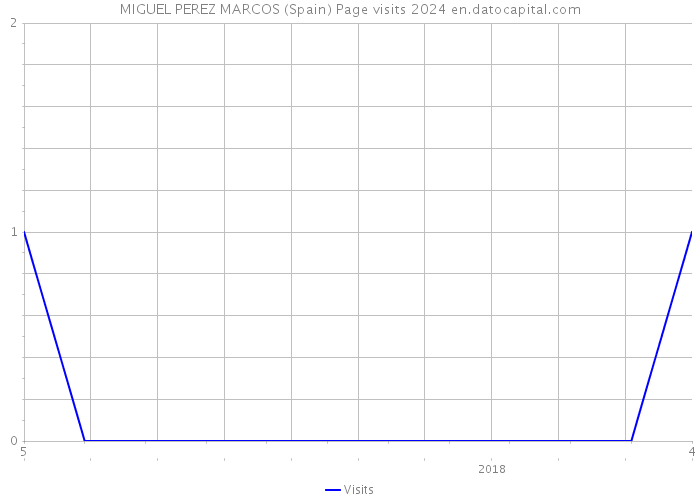 MIGUEL PEREZ MARCOS (Spain) Page visits 2024 