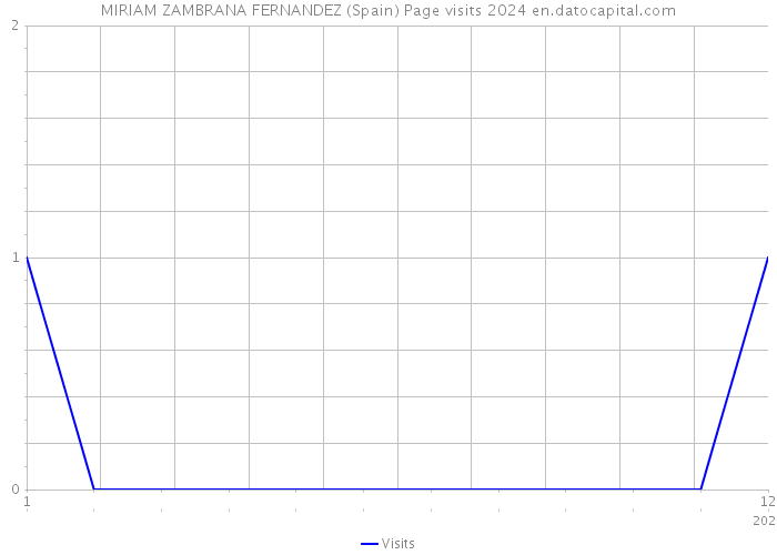 MIRIAM ZAMBRANA FERNANDEZ (Spain) Page visits 2024 