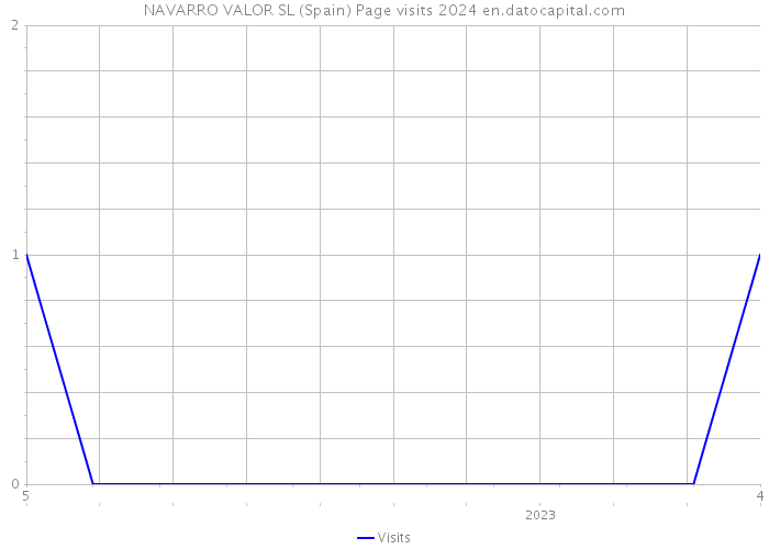 NAVARRO VALOR SL (Spain) Page visits 2024 