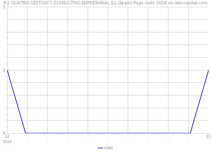 P.J. QUATRO GESTION Y CONSULTING EMPRESARIAL S.L (Spain) Page visits 2024 