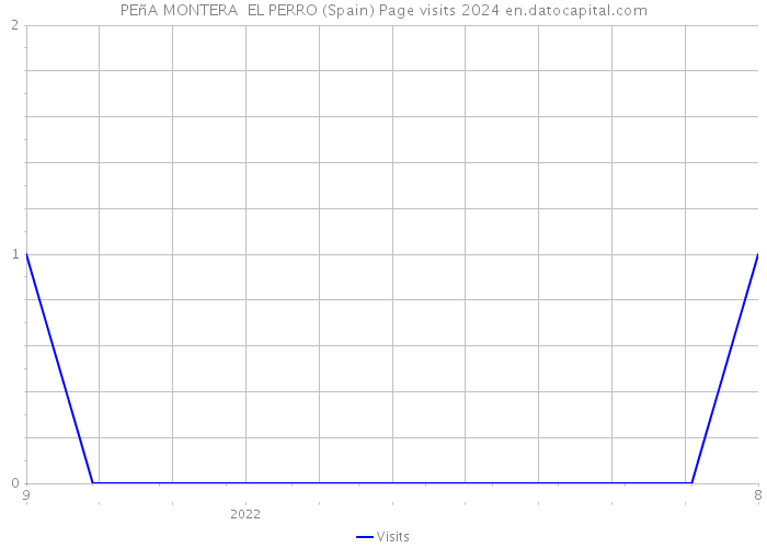 PEñA MONTERA EL PERRO (Spain) Page visits 2024 