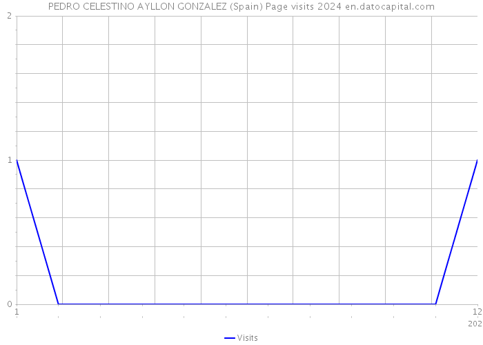 PEDRO CELESTINO AYLLON GONZALEZ (Spain) Page visits 2024 