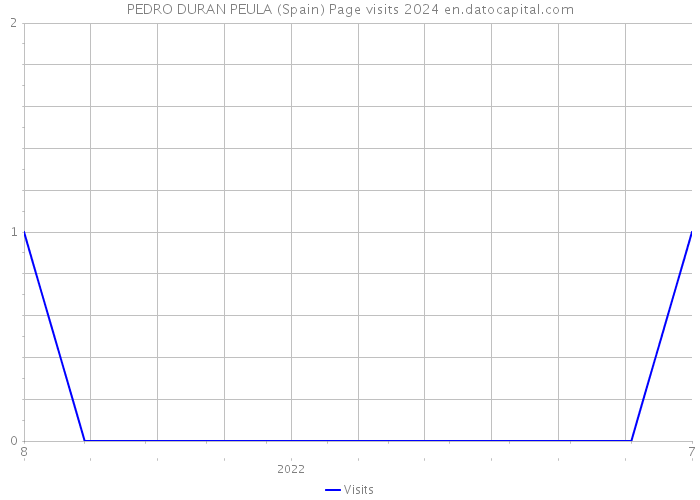 PEDRO DURAN PEULA (Spain) Page visits 2024 