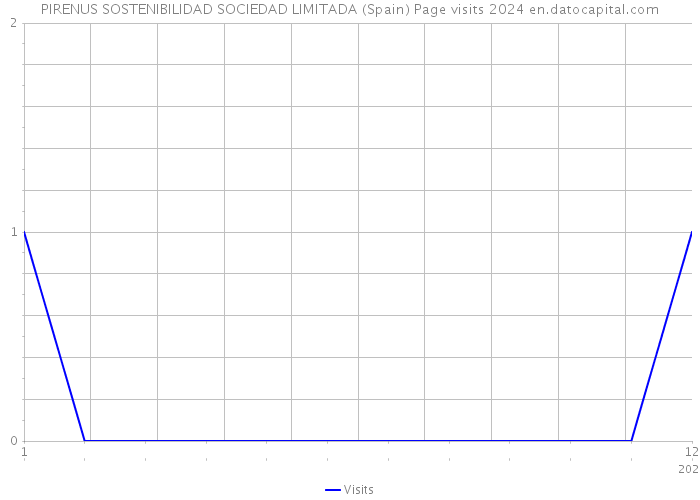 PIRENUS SOSTENIBILIDAD SOCIEDAD LIMITADA (Spain) Page visits 2024 
