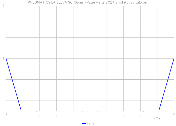 PNEUMATICS LA SELVA SC (Spain) Page visits 2024 