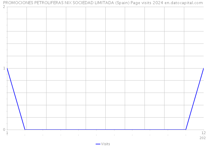 PROMOCIONES PETROLIFERAS NIX SOCIEDAD LIMITADA (Spain) Page visits 2024 