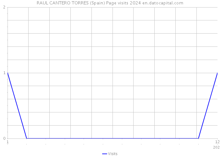 RAUL CANTERO TORRES (Spain) Page visits 2024 