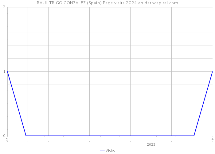 RAUL TRIGO GONZALEZ (Spain) Page visits 2024 