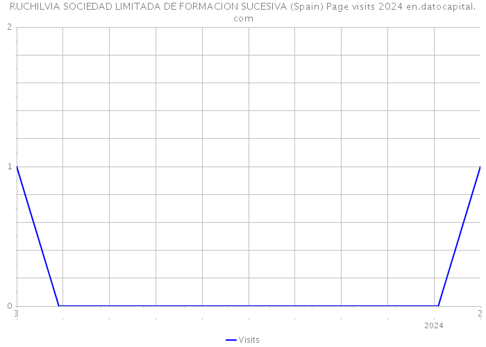 RUCHILVIA SOCIEDAD LIMITADA DE FORMACION SUCESIVA (Spain) Page visits 2024 