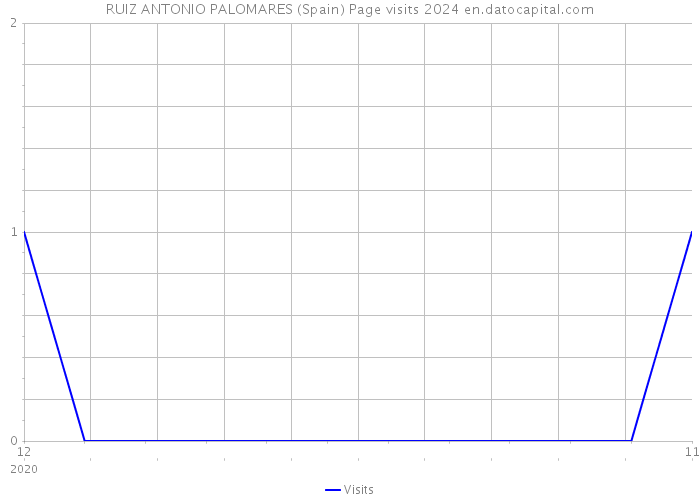 RUIZ ANTONIO PALOMARES (Spain) Page visits 2024 