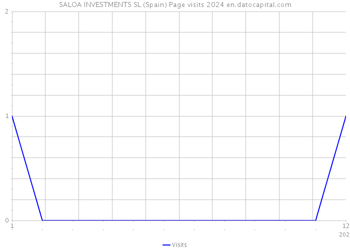 SALOA INVESTMENTS SL (Spain) Page visits 2024 