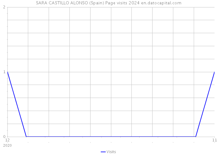 SARA CASTILLO ALONSO (Spain) Page visits 2024 