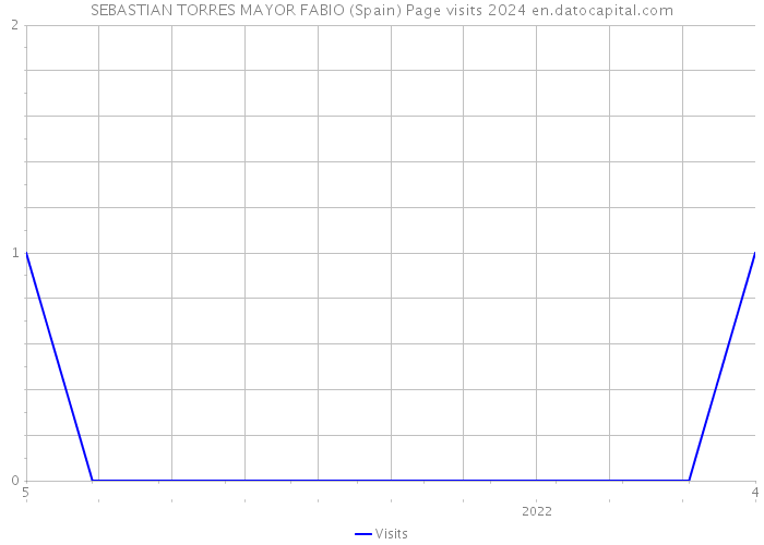 SEBASTIAN TORRES MAYOR FABIO (Spain) Page visits 2024 