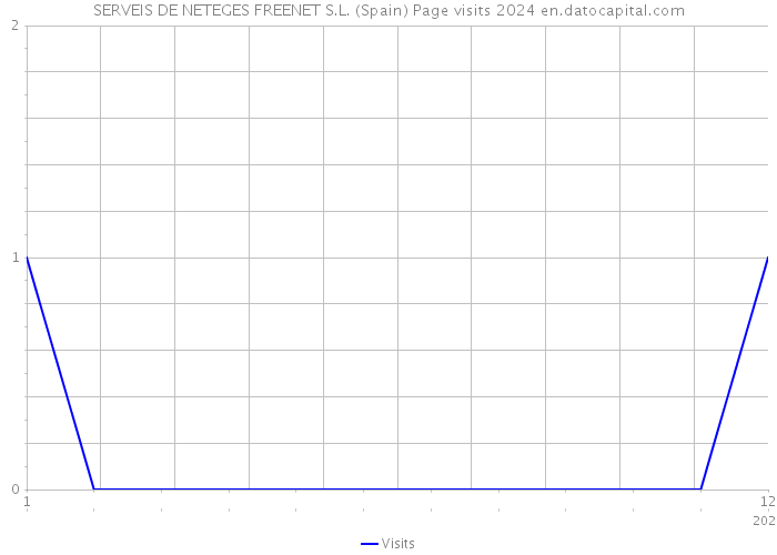 SERVEIS DE NETEGES FREENET S.L. (Spain) Page visits 2024 