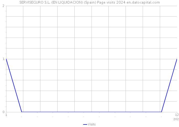 SERVISEGURO S.L. (EN LIQUIDACION) (Spain) Page visits 2024 