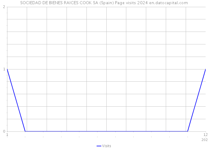 SOCIEDAD DE BIENES RAICES COOK SA (Spain) Page visits 2024 