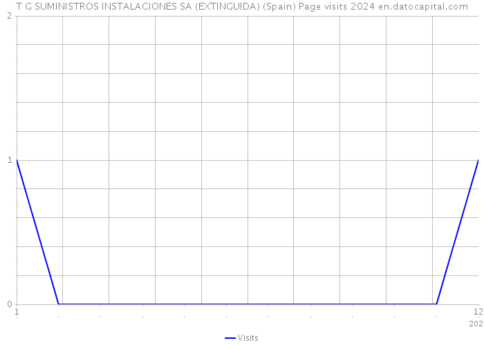 T G SUMINISTROS INSTALACIONES SA (EXTINGUIDA) (Spain) Page visits 2024 