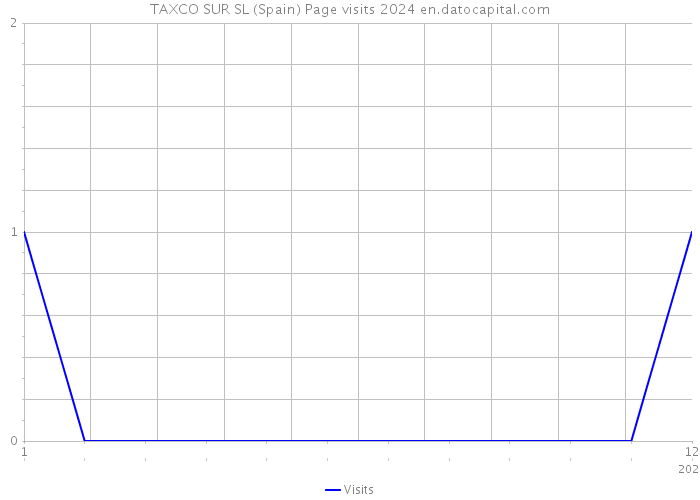 TAXCO SUR SL (Spain) Page visits 2024 