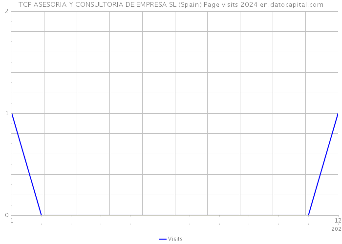 TCP ASESORIA Y CONSULTORIA DE EMPRESA SL (Spain) Page visits 2024 