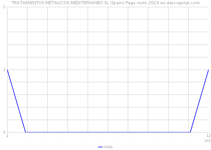 TRATAMIENTOS METALICOS MEDITERRANEO SL (Spain) Page visits 2024 