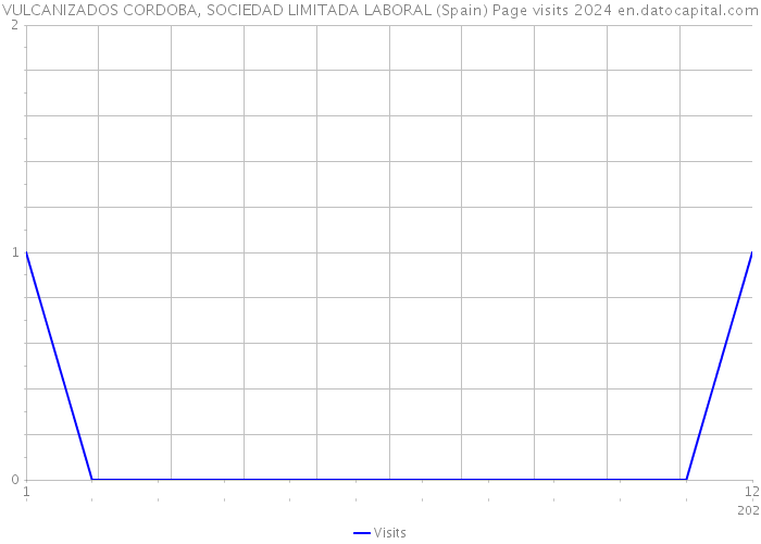 VULCANIZADOS CORDOBA, SOCIEDAD LIMITADA LABORAL (Spain) Page visits 2024 