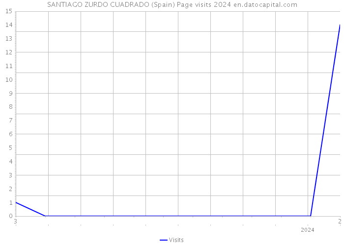 SANTIAGO ZURDO CUADRADO (Spain) Page visits 2024 