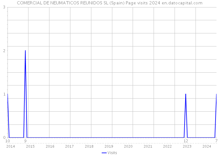 COMERCIAL DE NEUMATICOS REUNIDOS SL (Spain) Page visits 2024 