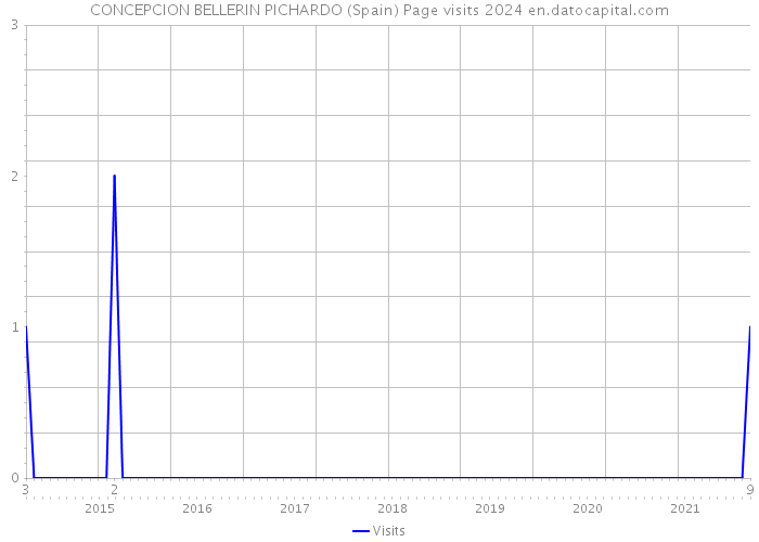 CONCEPCION BELLERIN PICHARDO (Spain) Page visits 2024 