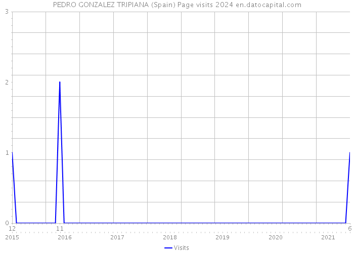 PEDRO GONZALEZ TRIPIANA (Spain) Page visits 2024 