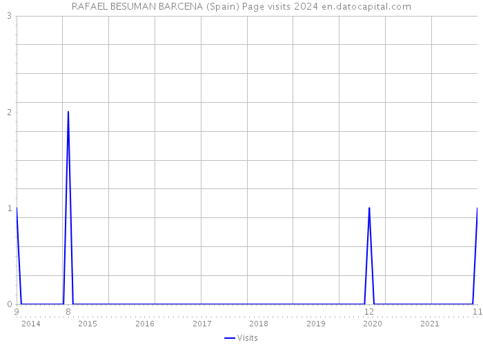 RAFAEL BESUMAN BARCENA (Spain) Page visits 2024 