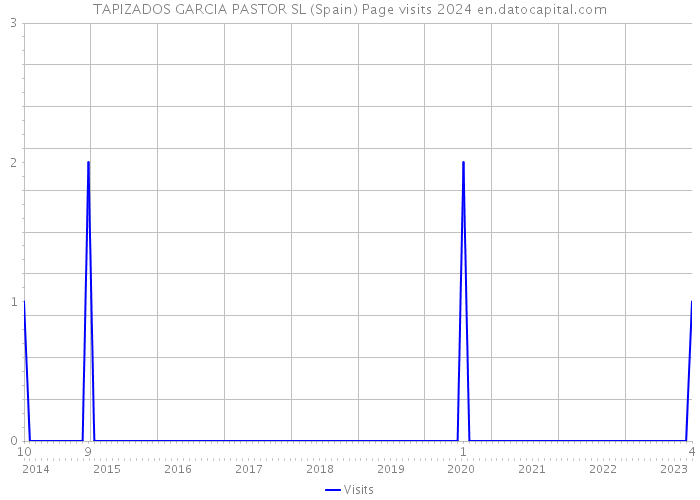 TAPIZADOS GARCIA PASTOR SL (Spain) Page visits 2024 