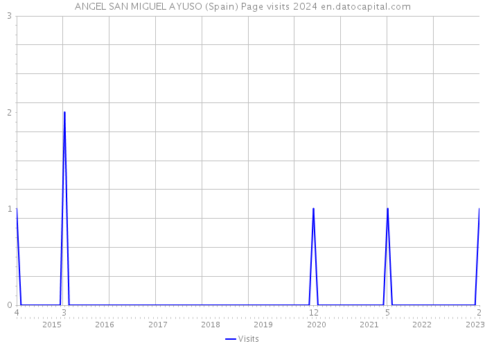 ANGEL SAN MIGUEL AYUSO (Spain) Page visits 2024 