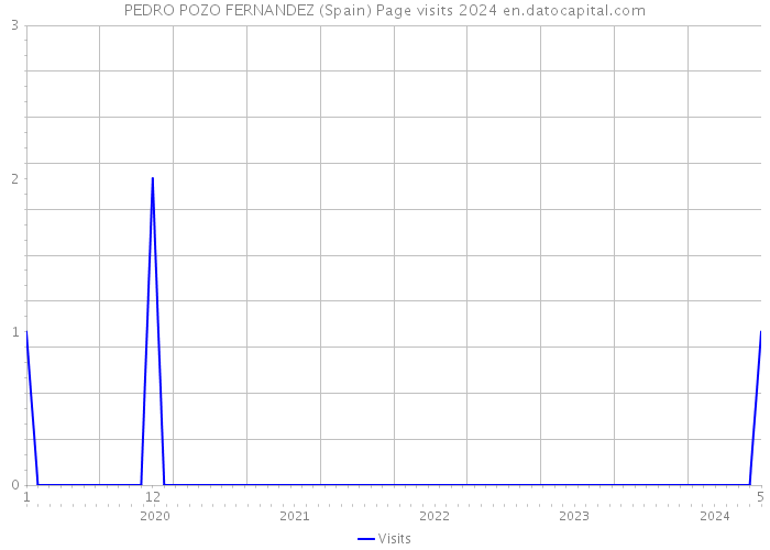 PEDRO POZO FERNANDEZ (Spain) Page visits 2024 