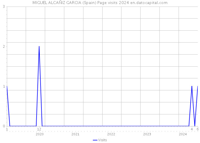 MIGUEL ALCAÑIZ GARCIA (Spain) Page visits 2024 