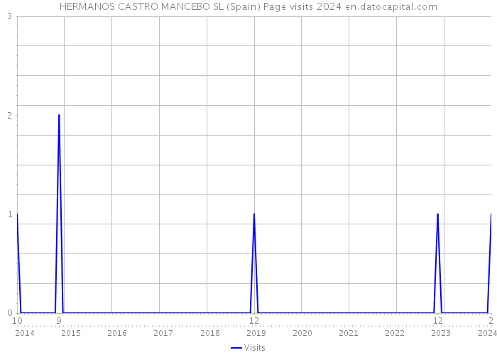 HERMANOS CASTRO MANCEBO SL (Spain) Page visits 2024 