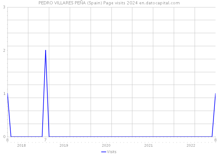 PEDRO VILLARES PEÑA (Spain) Page visits 2024 