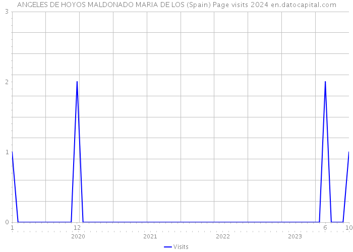 ANGELES DE HOYOS MALDONADO MARIA DE LOS (Spain) Page visits 2024 