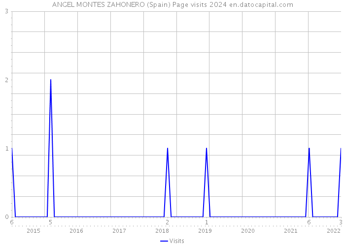ANGEL MONTES ZAHONERO (Spain) Page visits 2024 