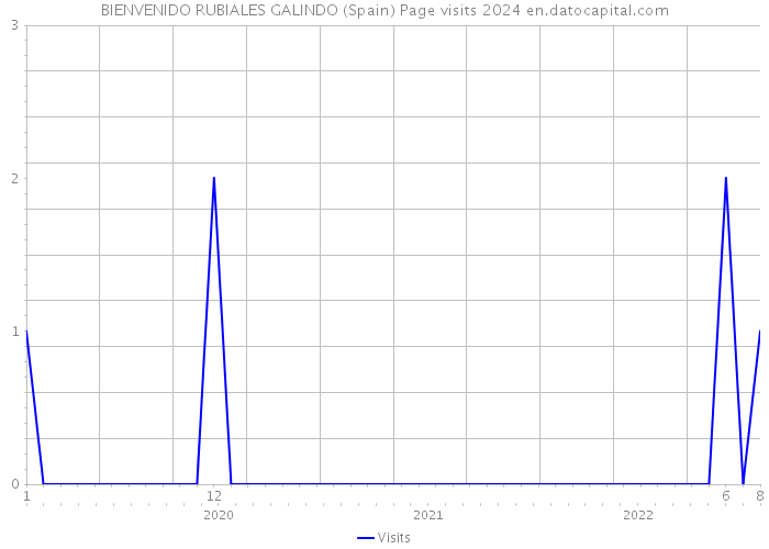 BIENVENIDO RUBIALES GALINDO (Spain) Page visits 2024 