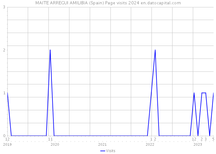 MAITE ARREGUI AMILIBIA (Spain) Page visits 2024 