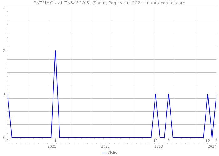 PATRIMONIAL TABASCO SL (Spain) Page visits 2024 