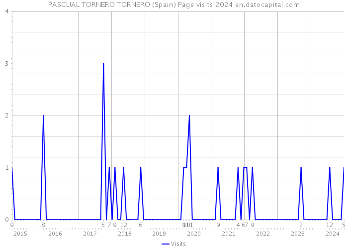 PASCUAL TORNERO TORNERO (Spain) Page visits 2024 