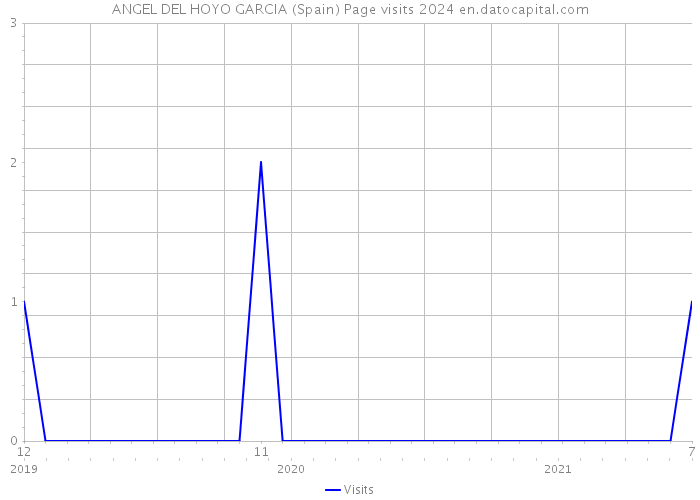 ANGEL DEL HOYO GARCIA (Spain) Page visits 2024 