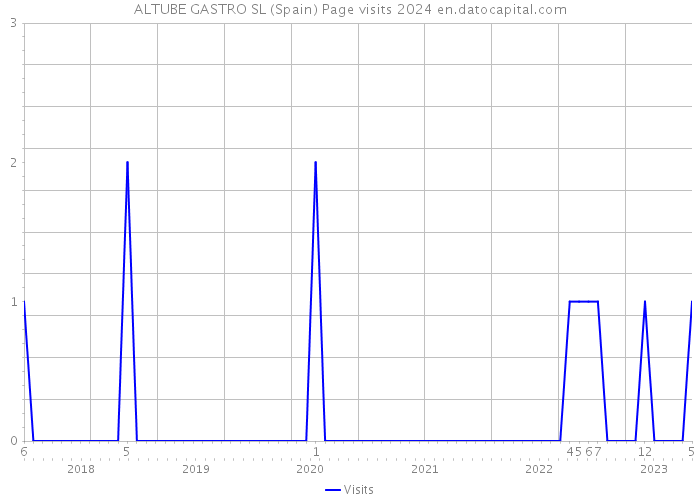 ALTUBE GASTRO SL (Spain) Page visits 2024 