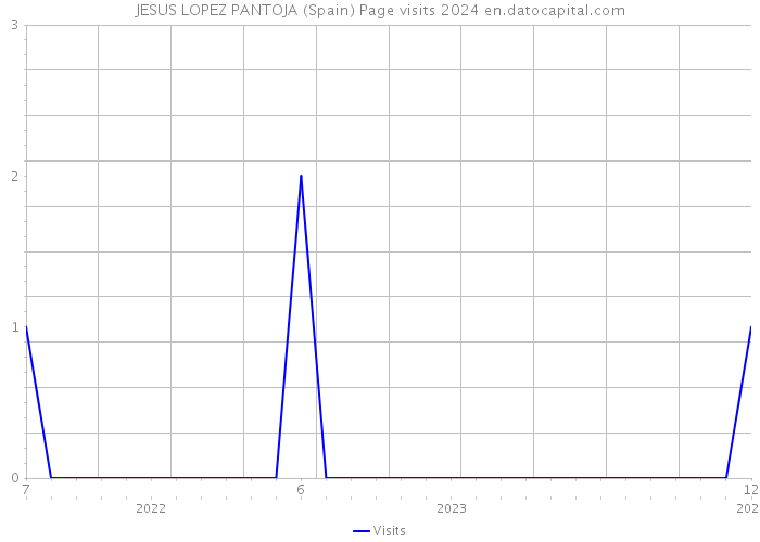 JESUS LOPEZ PANTOJA (Spain) Page visits 2024 